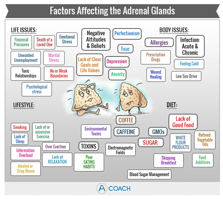 What is Adrenal Fatigue? Adrenal Fatigue Coach explains!